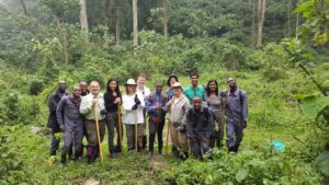 Top Reasons to visit Uganda Gorilla trekking in Bwindi national park with our trekking group